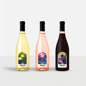 visuel bouteilles 300x300